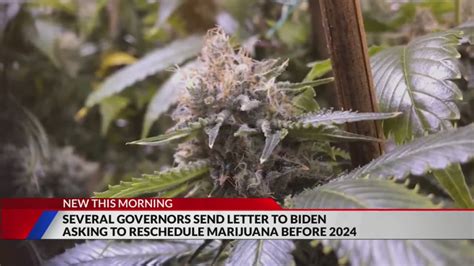 Polis to Biden: Reschedule marijuana before 2024